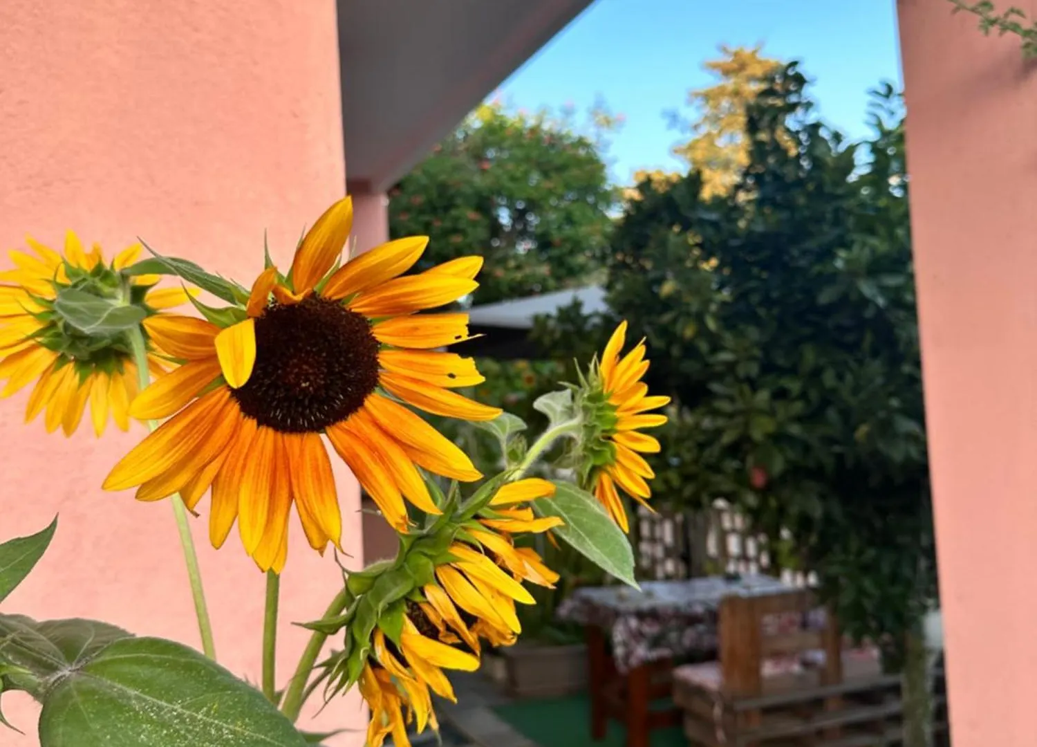 Semesterbostad Sa Domu De Cri Villa Giba Italien