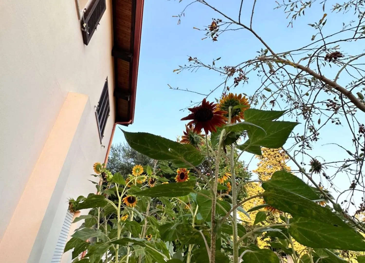 Semesterbostad Sa Domu De Cri Villa Giba